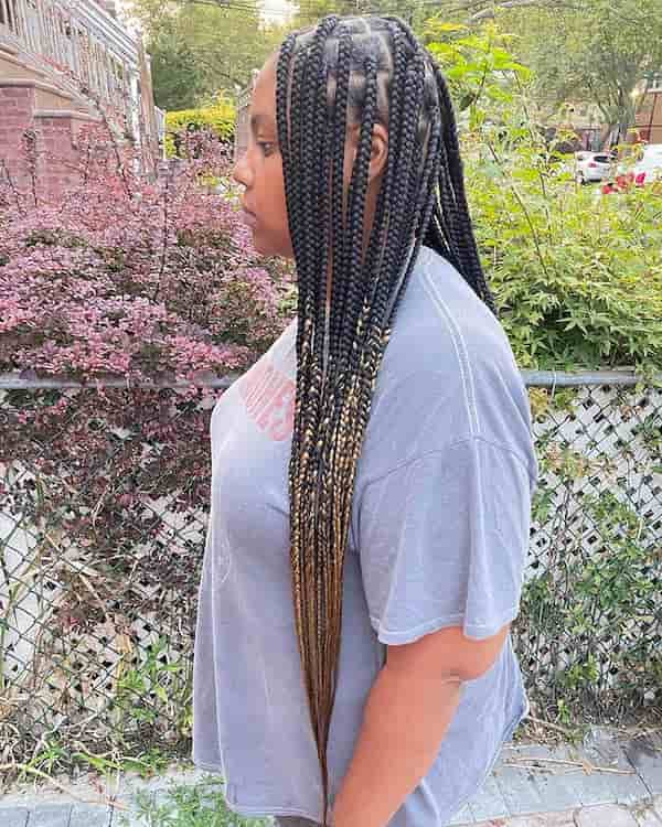 Ombre Knotless Box Braids