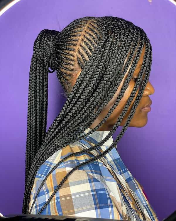 Cornrow Ponytail and Frontal