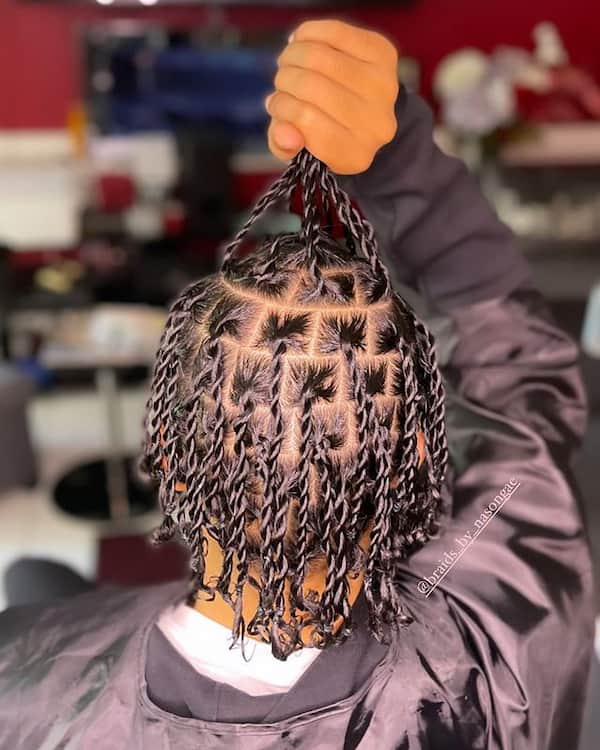 Two Strand Twist Curly Hair