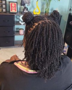 15 Classy Micro Twist Braid Hairstyles for Black Women