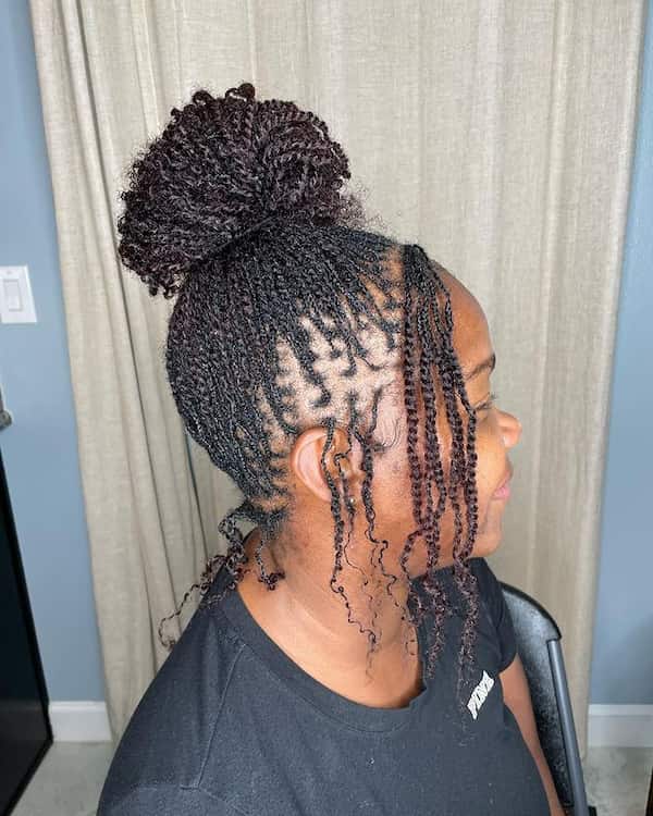 I Did a Box Braids Hairstyle at Home Editor Experiment  POPSUGAR Beauty
