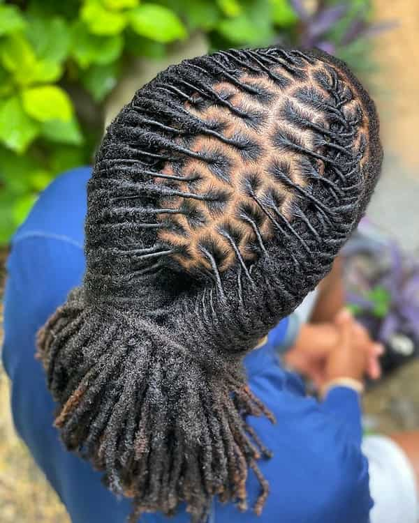 Semi-Crown Comb Twist