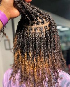 15 Classy Micro Twist Braid Hairstyles for Black Women
