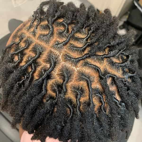 Touch and Leave Comb Twist