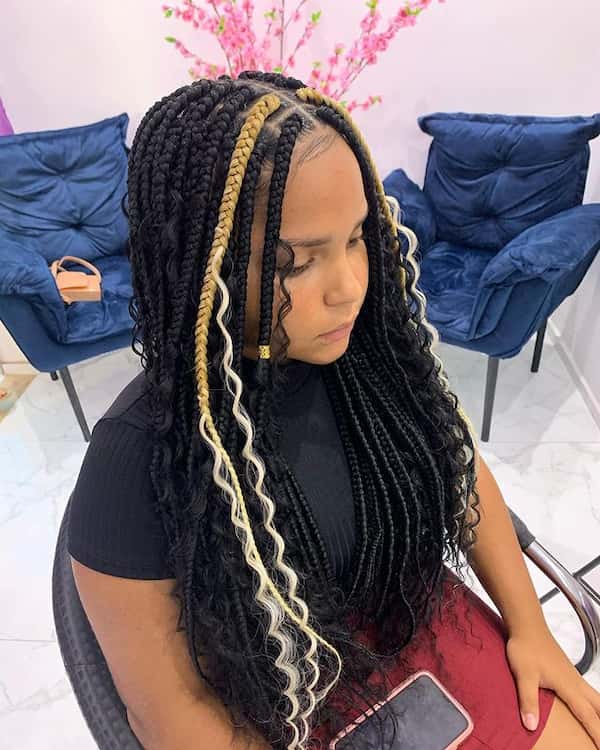 Black Goddess Braids with Double Color Highlights