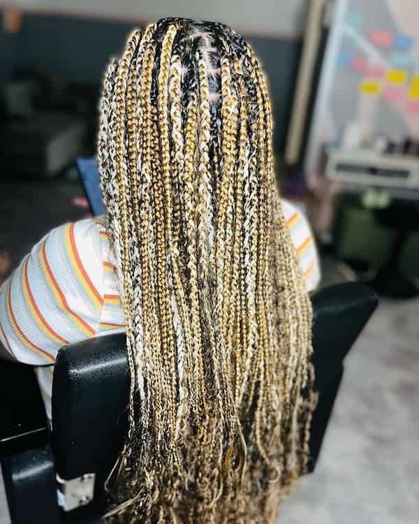 Blonde and Gray Mixed Knotless Braids