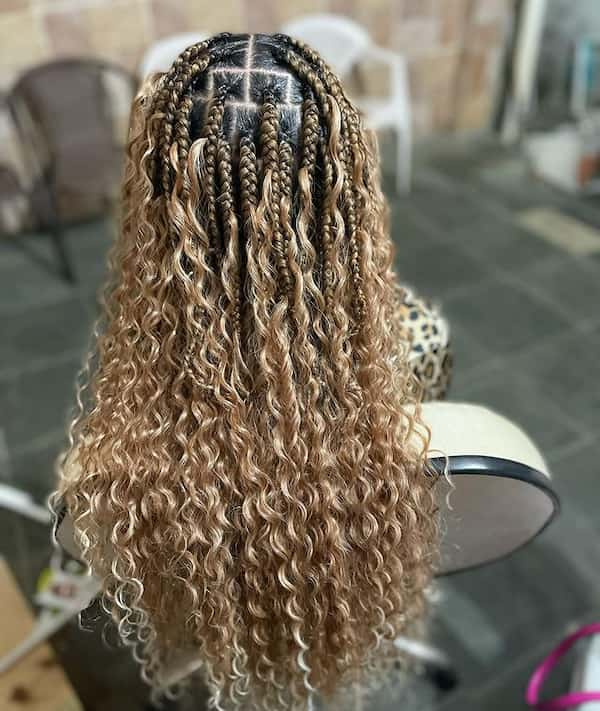 Box Medium Goddess Braids with Color