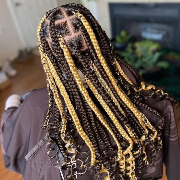 16 Adorable Knotless Braids with Color for Ladies