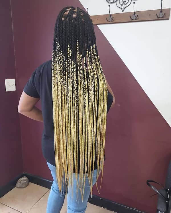 Simple Box Mixed Blonde Knotless Braids with Black