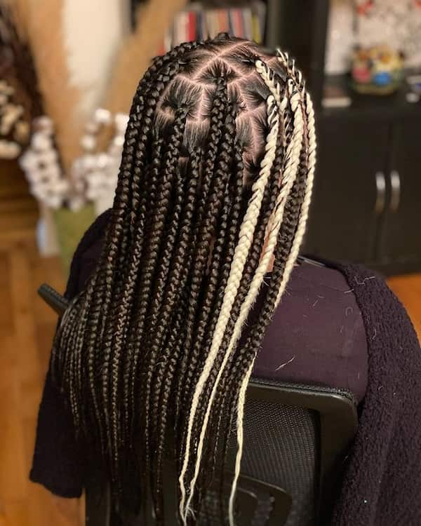 Skunk Black Mixed Blonde Knotless Braids