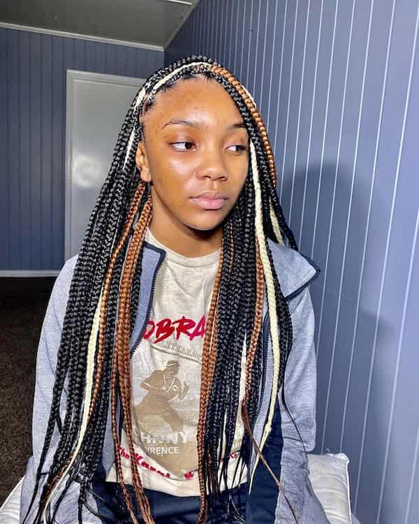16 Adorable Knotless Braids with Color for Ladies