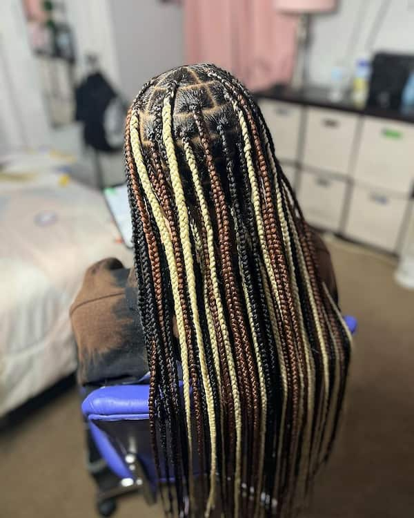 Tri-colored Medium Waist Length Knotless Braids