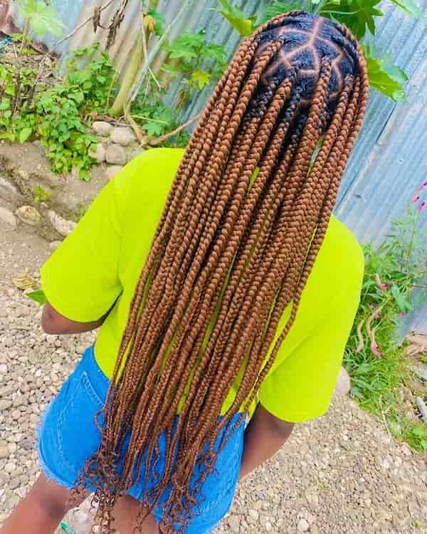 Brown Knotless Braids with Curls