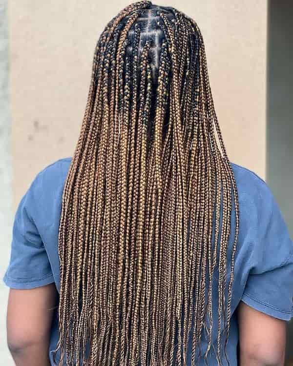 20 Protective Brown Knotless Braids To Try