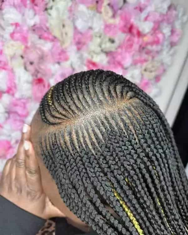 Are Tribal Braids a Protective Style