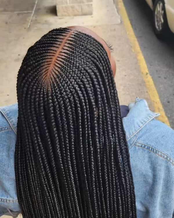 Fulani Braids With a Middle Part