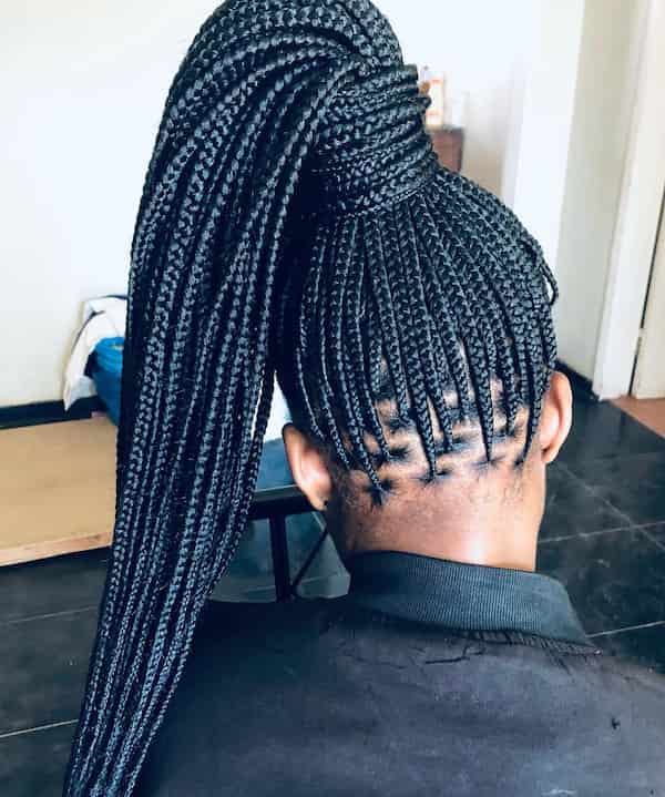 Knotless Braids in a Ponytail