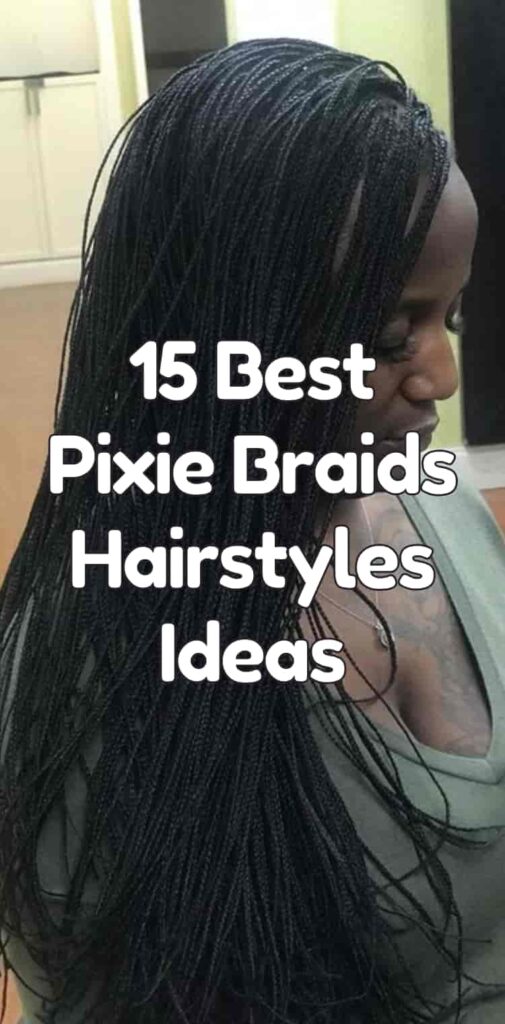 15 Best Pixie Braids Hairstyles Ideas