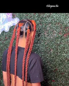 Top 12 Jayda Wayda Braids Hairstyles