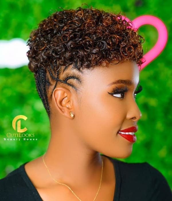 Curly Black Hair Updo with Cornrows