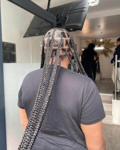 Top 12 Jayda Wayda Braids Hairstyles