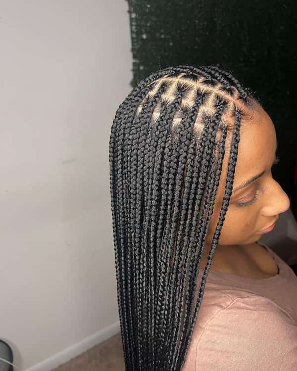 Top 10 Small Box Braids Styles You Need to Try Today