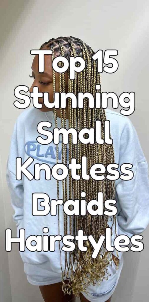 Top 10 Stunning Small Knotless Braids Hairstyles