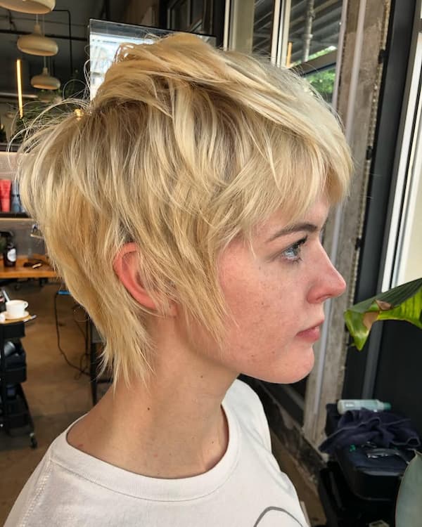 Pixie-Inspired Short Shag