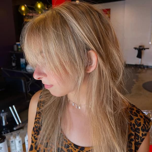 Fine Hair Volumizing Shag