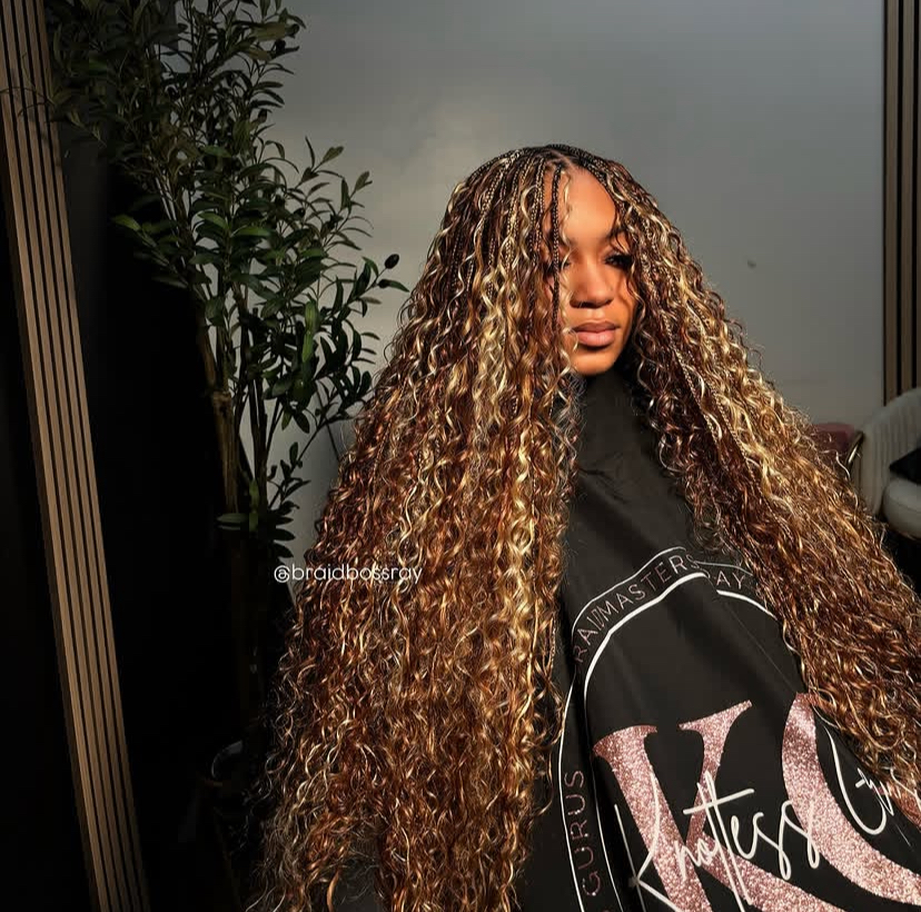 Caramel Highlights Box Braids