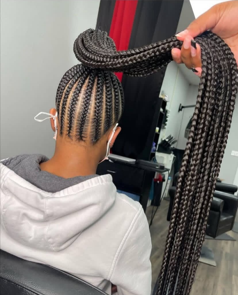 Braided Ponytail