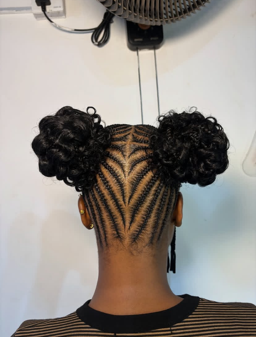 Braided Space Buns