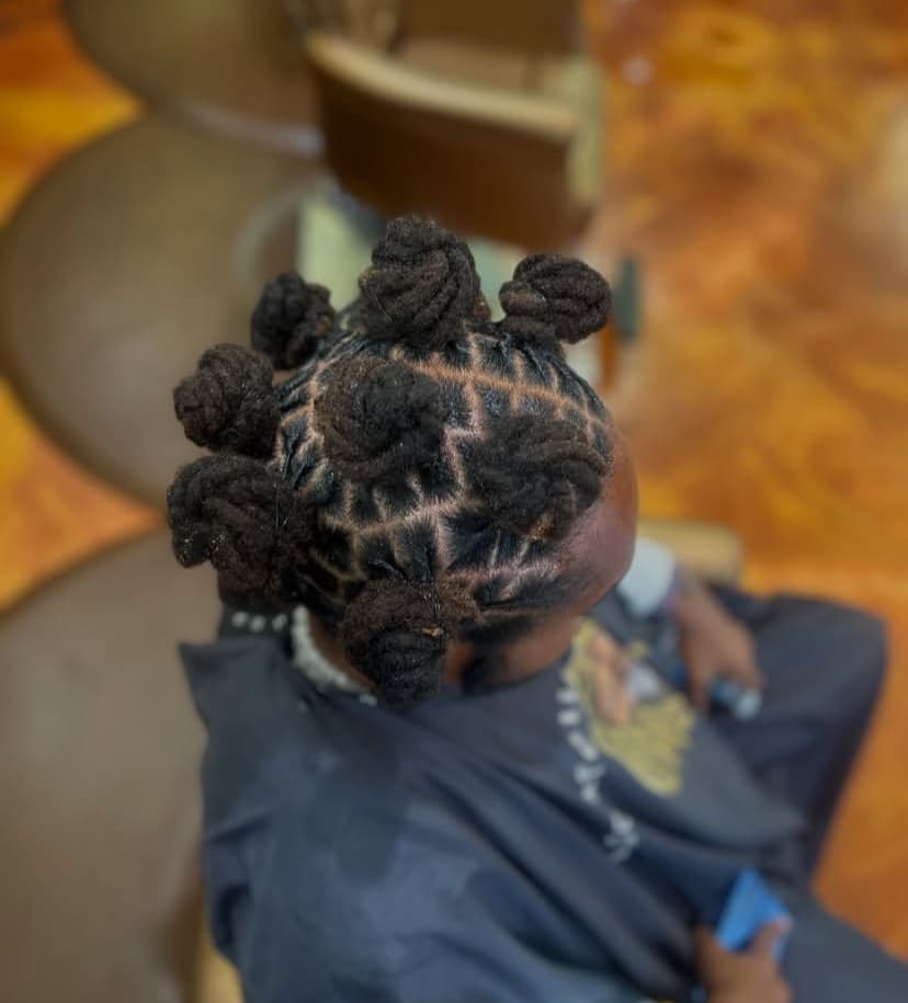Twisted Bantu Knot Combo